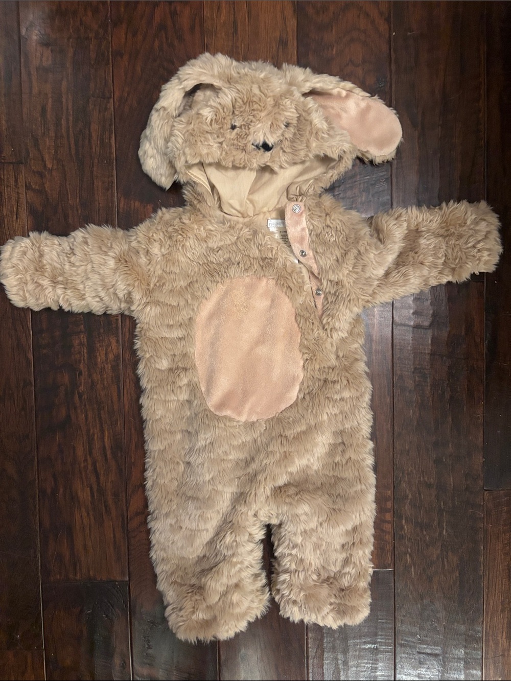 Pottery Barn Kids cream plush dog Halloween costume